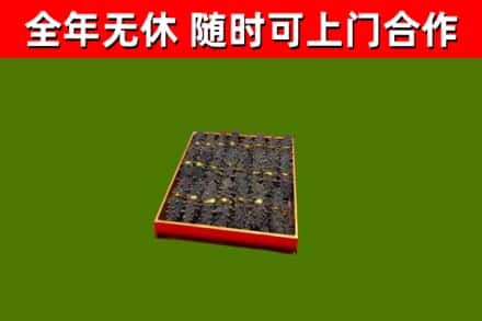 临汾市回收海参